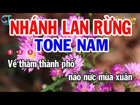 Karaoke Nhánh Lan Rừng Tone Nam ( C#m ) Nhạc Sống Beat Mới | Karaoke Tuấn Kiệt