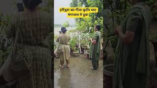 हरिद्वार का गीता कुटीर घाट गंगाजल मे डूबा #haridwar, #shortsvideo, #youtubeshorts