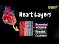 Heart Anatomy and Function Assessment