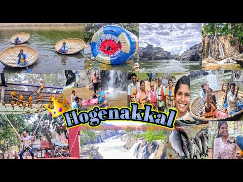 பரிசல் Boating🛶 Hogenakkal water falls 🌊கையிலியே மீன் 🎣 பிடித்தோம் #hogenakkal #boating