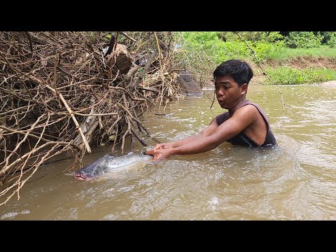 Founding big fish in the river for survival food, Spicy fish cooking & Eating delicious