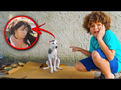 O CACHORRINHO DE RUA E A MADRASTA MALVADA - Historinha em Português Completa  (Isaac do VINE)