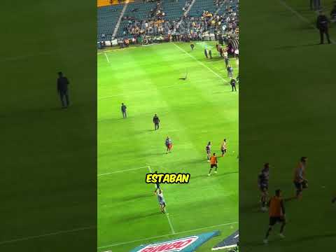 Soltar al águila en el estadio… ¿La peor decisión? 🤦🏼♂️