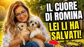 Dalle catene alla libertà: la commovente storia di Romina Power salva due cuccioli dal pericolo.