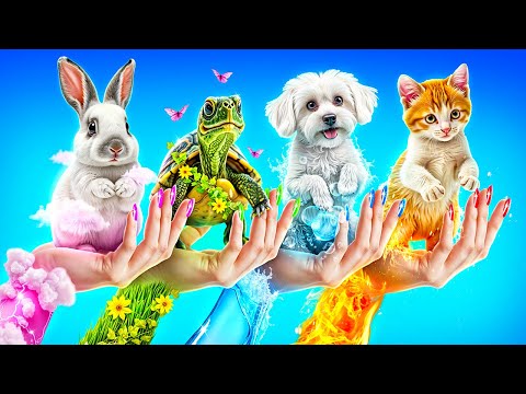 Eu ajudei os 4 Elementos Pets! Fogo, Água, Ar e Terra Pets