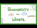 Biodiversity and Environmental Impact