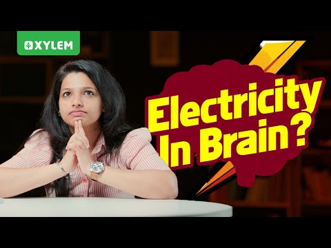 Electricity in Brain? | Xylem Class 10 CBSE
