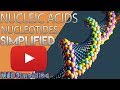 Exploring DNA and RNA Structures