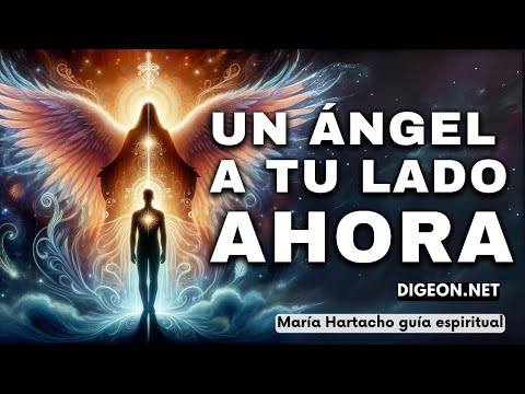 AHORA, un Ángel a tu lado💌MENSAJE DE LOS ÁNGELES PARA TI -DIGEON- Arcángel Azrael- Enseñanza VERTI