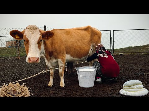 One Incredible Day Of An Azerbaijani Shepherd | DOCUMENTARY | Far From Civilization