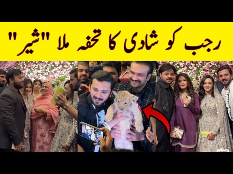 Rajab butt Lion and umrah package as wedding gifts| eman and rajab walima