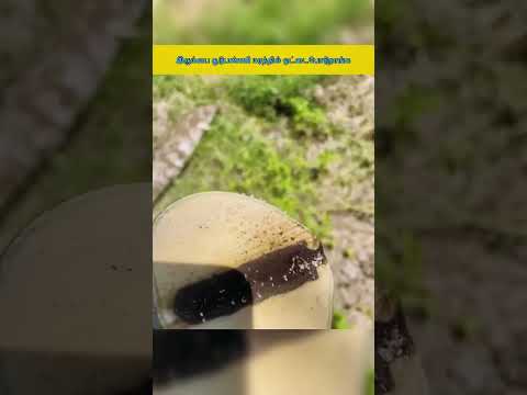 எதுக்கு மரத்துல ஒட்ட பொடறாங்க