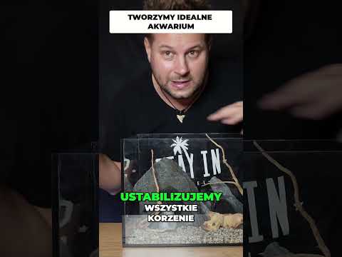 Tak wygląda idealne akwarium.