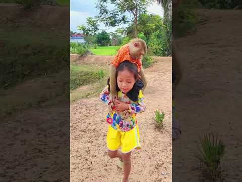 My Princess Escort SokYaa Visit Green Rice Field On Green Views #shorts