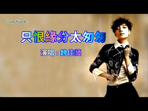 只恨緣分太匆匆-魏佳藝-伴奏 KARAOKE