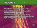Meiosis and Genetic Variation Concepts