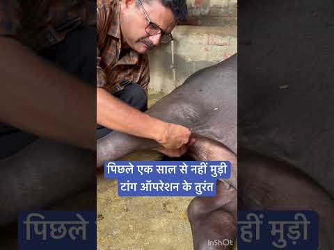 MPD l dr Umar khan