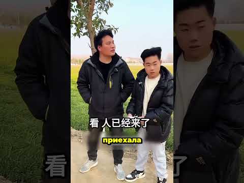 Верный пёс спас девушку #shorts
