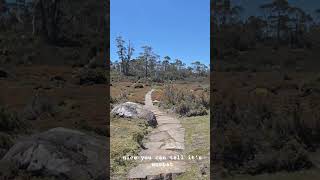Wombat poo for the win!!