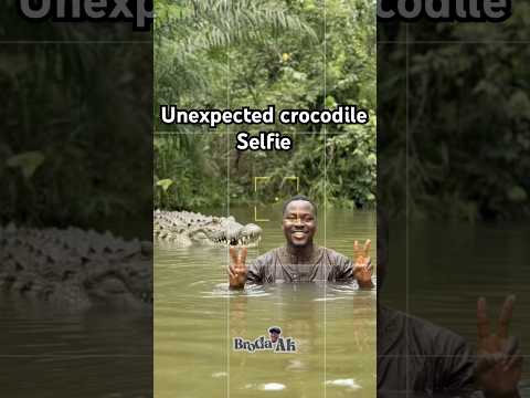 I’m ain’t scared of crocodile 🐊