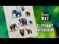 Simple way to draw an elephant    How to draw an elephant in watercolor easily