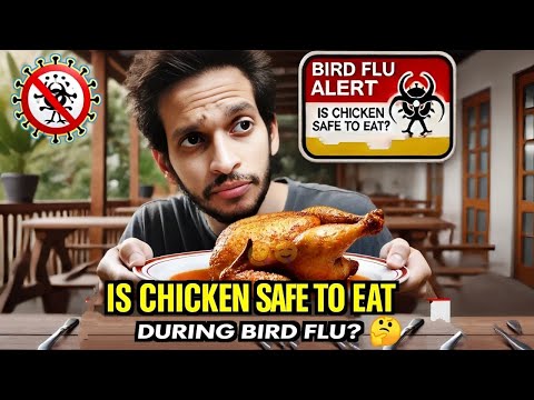 Is Chicken Safe to Eat During the Bird Flu Outbreak?