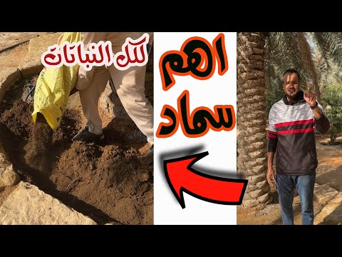 اهم سماد فى السنة لكل النباتات || لا يمكن الاستغناء عنه ابداً
