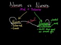 Nature vs. Nurture Debate in Psychology
