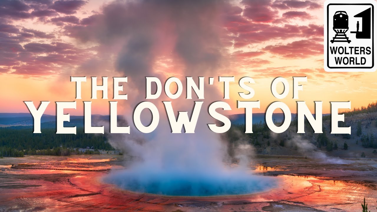 Yellowstone: The Don'ts of Yellowstone National Park - Wolters World