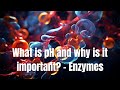 Understanding pH and Enzymes
