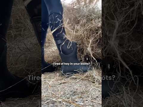 No more hay in boots 🌾💡 #horse #horseriding #riding #equestrian #horses #riding #trending #shorts