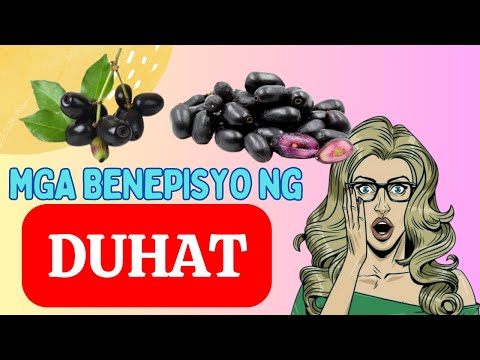 15 HEALTH Benefits ng DUHAT | Bakit dapat mong KAININ ang PRUTAS na ITO?