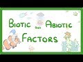 Identifying Biotic and Abiotic Factors in Ecosystems