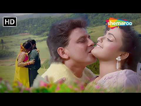 Hum Teri Mohabbat Mein | Phool Aur Angaar | Mithun Chakraborty, Shantipriya | Kumar Sanu, Sadhana