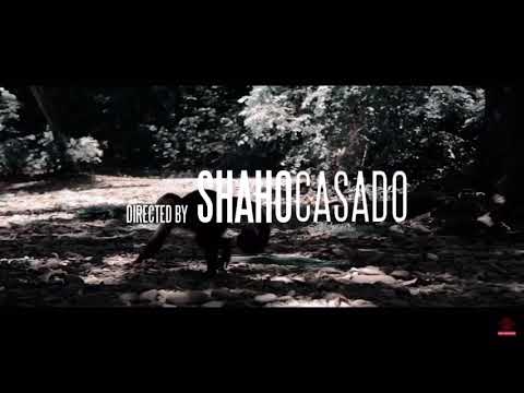 Bonez Mc & RAF Camora - Risiko