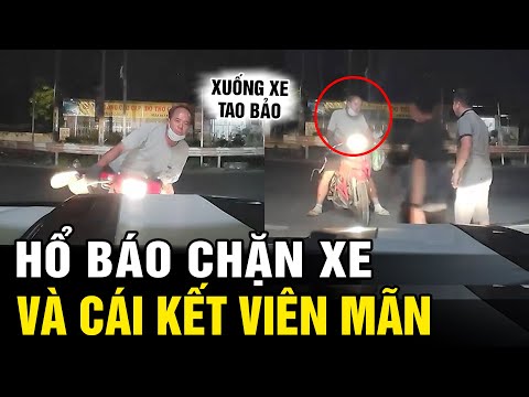 Hổ báo thách thức, tạt đầu xe oto "Nguy hiểm" và cái kết viên mãn | Tô Tin Tức ✔