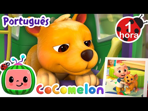 Meu Cachorro BINGO | CoComelon Brasil | Músicas Infantis e Desenhos Animados em Português