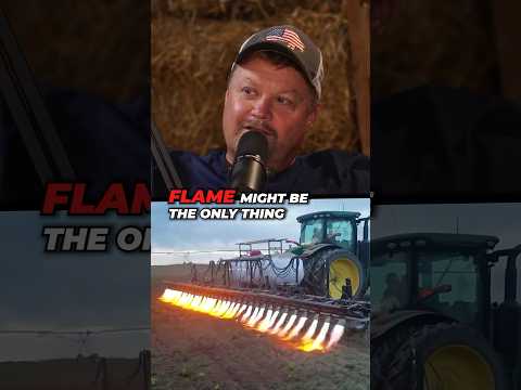 Uses of Flame on the Farm