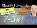 Classification of Polynomials and Degrees