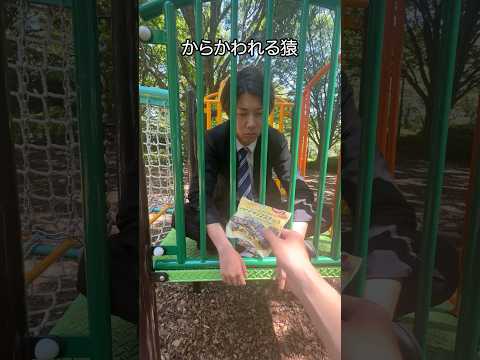 からかわれて完全敗北する猿 #shorts