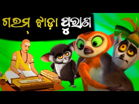 Sambalpuri cartoon sale comedy