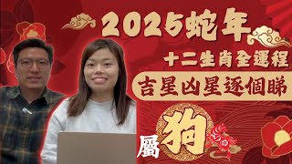 2025蛇年 十二生肖全運程—狗🐶