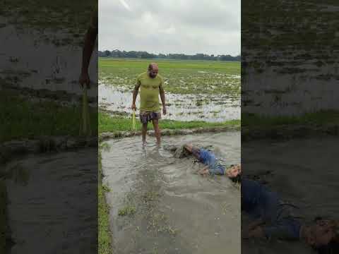 বিটলার বিটলামি দেখেন #funny #কcomedy #trendingshorts #trending #trending #shorts #viralshorts