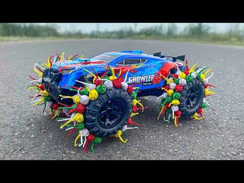 EXPERIMENT : R/C Car vs Garlic Snappers
