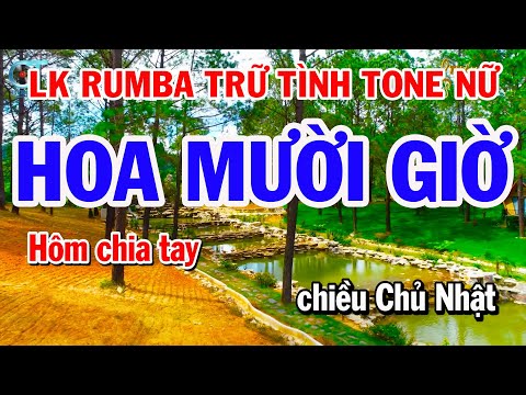 Liên Khúc Rumba Trữ Tình Tone Nữ – Hoa Mười Giờ – Hoa Nở Về Đêm