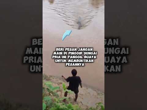 pria memanggil buaya buktikan ucapannya bahwa disungai tersebut ada buaya #shortvideo #hewan #animal