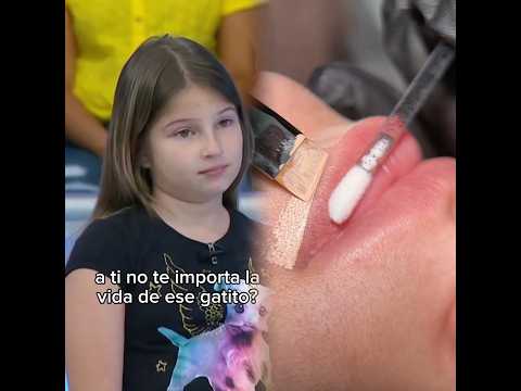 Respuesta a @draalejandraruiz #viaje #gato #parati #hermanas #doctorapolo #casocerrado #lentejas