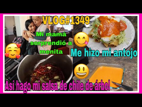 VLOG#1349MI MAMÁ SORPRENDIO A MENITA😃TAMBIEN ME HIZO MI ANTOJO😍ASI HAGO MI SALSA DE CHILE DE ÁRBOL😋