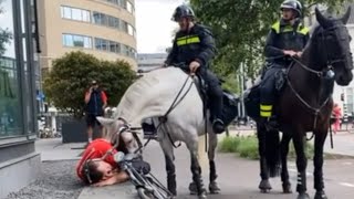 POLITIE PAARD VS PSV SUPPORTER 😂👮‍♂️