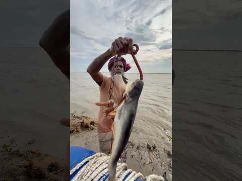Best fishing idea with fish bait for carp. #fishing #fishinglife